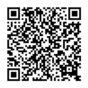 这样的一个充满奇幻元素的悲惨故事很容易会让人产生怀疑和不满二维码生成