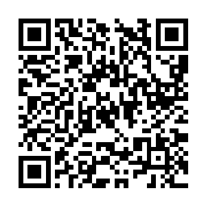 这样的一个大宗师他怎么可能放过不时请教的机会二维码生成