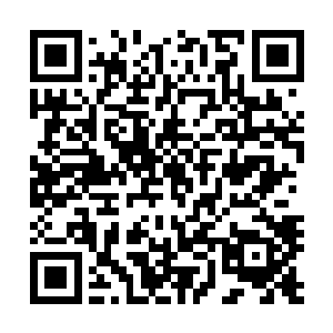 这样的事实让众人开始怀疑方才那位严家弟子所言是否有虚二维码生成