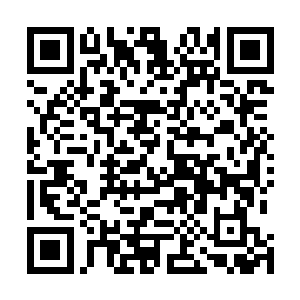 这样的人……怎么能够指望他们能够做好自己的经纪人呢二维码生成