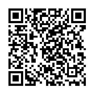 这样的人如果在这一届的形势逼迫下学院还不给予认可二维码生成