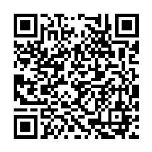 这样的修为他们还真就推测不出来究竟是什么境界二维码生成