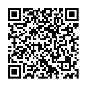这样的倾国之力加上群英荟萃制造出来的巨型风水大局二维码生成