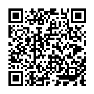 这样的做法让楚家赢得了中元星系各个家族的好感二维码生成