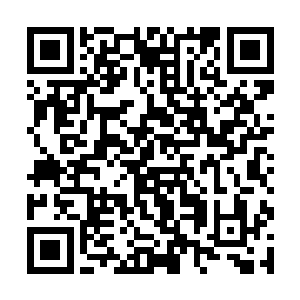 这样的力量随便一个化筋骨的高手都有可能制住他们二维码生成