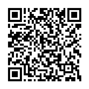 这样的声音对岑宇昊来说更像是一种刺激和鼓励二维码生成