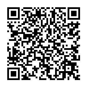 这样的大卫让雨果有些陌生――他总是习惯了大卫一脸嘻嘻哈哈的模样二维码生成