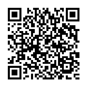 这样的大片有多大的差距――别看他现在似乎依然看不上珍妮弗二维码生成