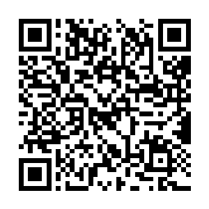 这样的好处就是加快了伐木和采矿的手动模式数据二维码生成