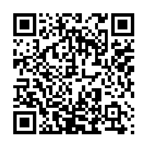 这样的宝贝一辈子能够遇到一个就已经是逆天的运气了二维码生成