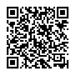 这样的实力恐怕就连九级海盗团的团长也做不到吧二维码生成