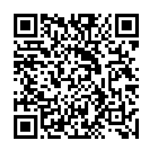 这样的实力放在落云城那样的地方也算是有些牌面二维码生成