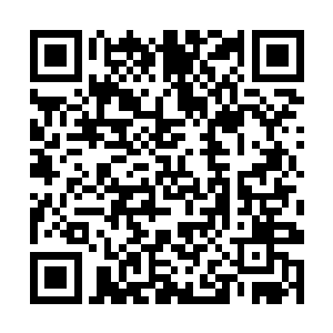 这样的小院子十分符合采菊东篱下悠然见南山的意境二维码生成