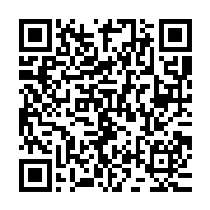 这样的心情却被这孩子认真的一记眼睛给看得几乎就要云开雾散二维码生成