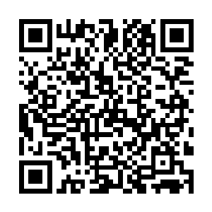 这样的情况在他跟随父亲参与商业谈判时见过无数次二维码生成