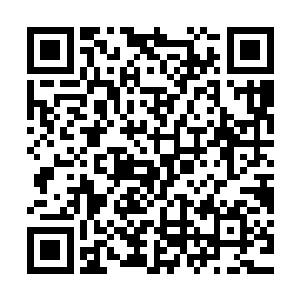 这样的感觉林烽不过持续了小半天的样子就彻底的持续不下去了二维码生成