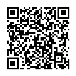 这样的歌词对于荣耀至死乐队的每一个人都有着深刻的意义二维码生成