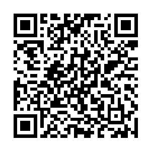 这样的环境下梓箐怀疑普通人恐怕连两年都活不下去二维码生成