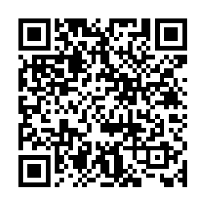 这样的环境中孕育出来的妖兽数量之多也是陆地妖兽所比不上的二维码生成