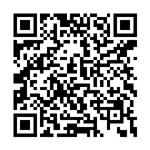 这样的礼节让天道不由顿时明白了对方是什么人二维码生成