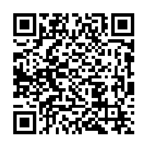 这样的神识攻击气势一个仙帝初期的武修能够抵挡的二维码生成