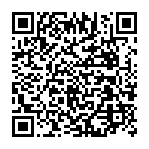 这样的至高存在哪怕只存在一位只剩下元神的都足以令世人感到震惊了二维码生成