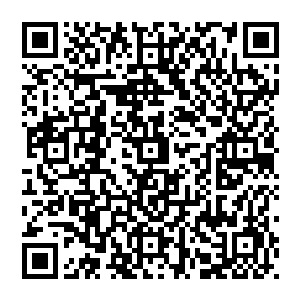 这样的规则就有点像民间江湖帮派或者黑社会之间的恩怨和斗争的胜败不会通过廷尉府去解决是一个道理二维码生成