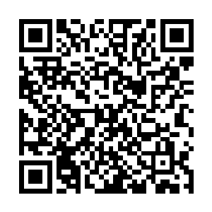 这样的话不管遇到什么类型的片子都有一定的战斗力了二维码生成