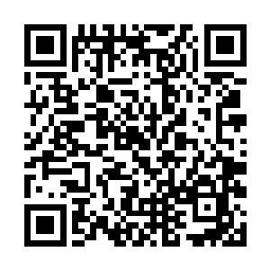 这样的超级大帮派没理由会这么兴师动众地来找自己二维码生成