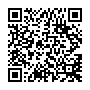 这样的项目就算是有也不是苟建新这样的公司接的上活儿的二维码生成