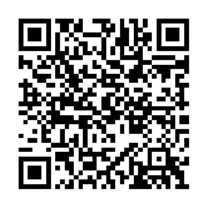 这样看来侦察过程中的遭遇战会在前期占主流呢二维码生成