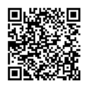 这样神奇的一幕震撼着他们内心的同时也让他们愤恨不已二维码生成