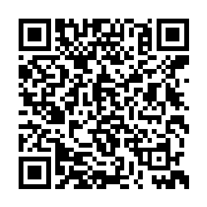 这样胖瘦尊者就可以彻底的成为了他的私人财产二维码生成