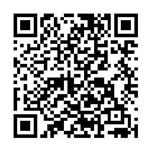 这样能将600万美元用于进口仪器和一些试剂的购买二维码生成