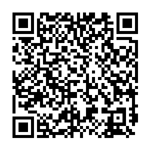 这样至少说明爹爹肯将她当成一名士兵而不是一个不懂事的小姑娘了吧二维码生成