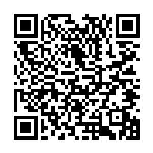 这样跪在地上双手双脚移动过来的黛茜可能很难忘二维码生成