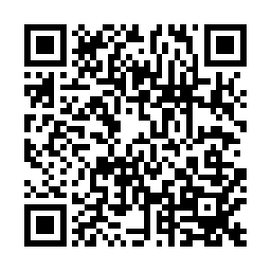 这样这不久以后符咒世界中的仙兽就全部变成了远古神兽二维码生成