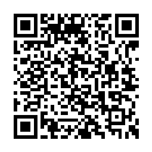 这根以前能轻松扔出七十码长传的右臂猛然挥出二维码生成