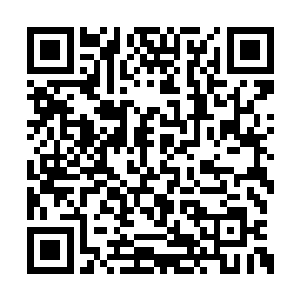 这根圆木已经被某人天长日久之下坐得很光滑了二维码生成