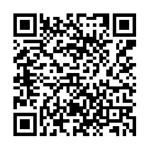 这根小试管是昨晚刮取宁婉悠黑色紧身衣上透明液体后二维码生成