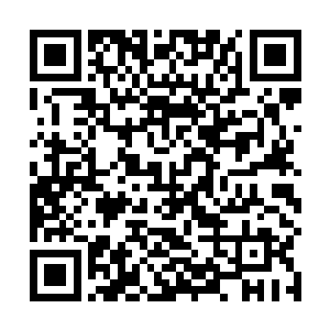 这根本句的内容根本就称不上是什么在索取什么东西了二维码生成