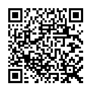 这根本就是在创造了一个红尘天外天以弱胜强的经典传说……二维码生成