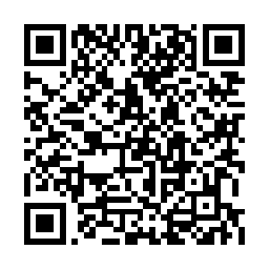这根本就是没有把普通人的生命当作是一回事啊二维码生成
