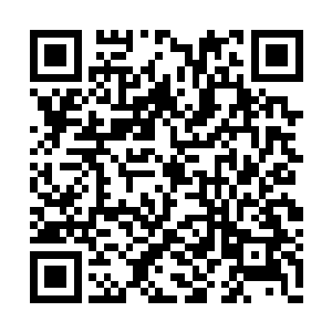 这根枯木拐杖竟然直直地钉在了坚固的石壁之上二维码生成