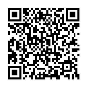 这根獠牙应该取自尼德柴尔氏族的一个正式成员二维码生成