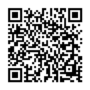 这棵苍天大树才在雨果的面前勾勒出最为真实的冰山一角二维码生成