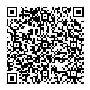 这棵青松高达数百米8人合抱般粗细周围的一切都是血色的只有这课青松依旧郁郁葱葱没有被血水污染二维码生成