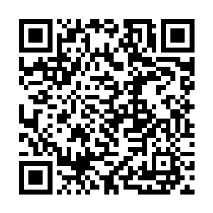 这楚君唯跟清尘公子的关系必定不差才能有如此信心二维码生成