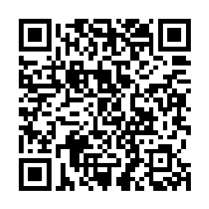 这楚城中绝大多数东西都很难再引起你的兴趣或者是贪欲二维码生成