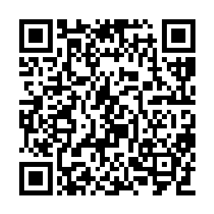 这次一身都挂了彩的人上墙的时候可真是费了劲二维码生成